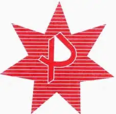 Punjstar Logo